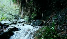 家乡的小溪_200字