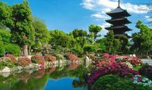 美丽的花园_100字