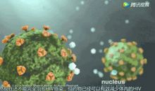 艾滋病的起源和发展