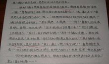 《皇帝的新装》续写_400字