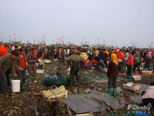 赶海_650话