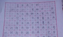 关于恐龙的说明文500字作文