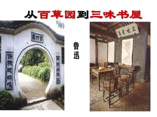 模仿“从百草园到三围书店” _350字