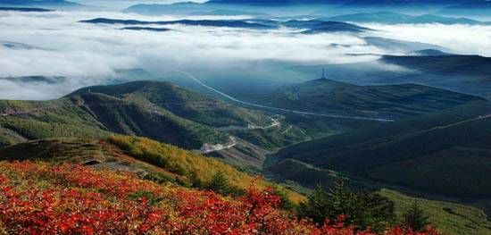 美丽的六盘山国家森林公园