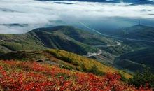 美丽的六盘山国家森林公园