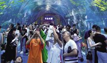 畅游极地海洋公园