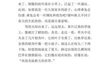 小草作文借物喻人