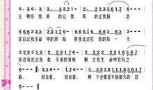 那样的春拨动了我的心弦