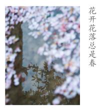 鲜花盛开_1000字