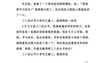 圣诞节英语作文_1500字