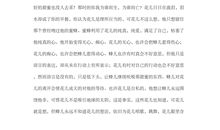 圣诞节英语作文_900字