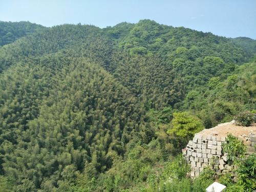走进伏丘山