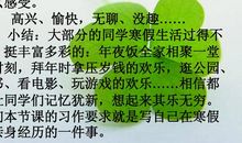 寒假里的一件事