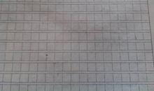 拍戏（贾嘉茵 ）_400字