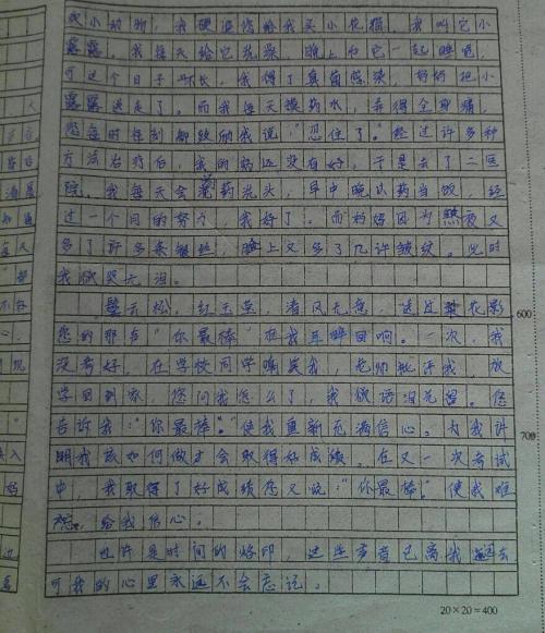 三年级诗歌作文：父亲（2）_150字