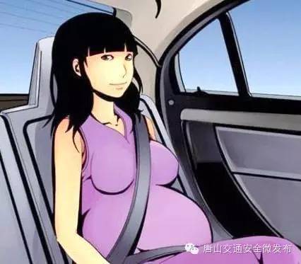 坐在人生的前排_900字