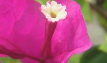 平凡中的美丽瞬间_1200字