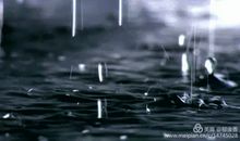 难忘雨夜，难忘幽香_550字