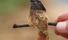 环保——人类生活的希望