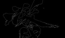 让生活多一些禅味_900字