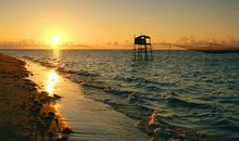 怀念海的声音_750字