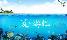 夏日游记_350字