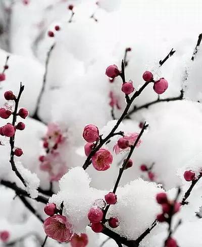 我脾气暴躁