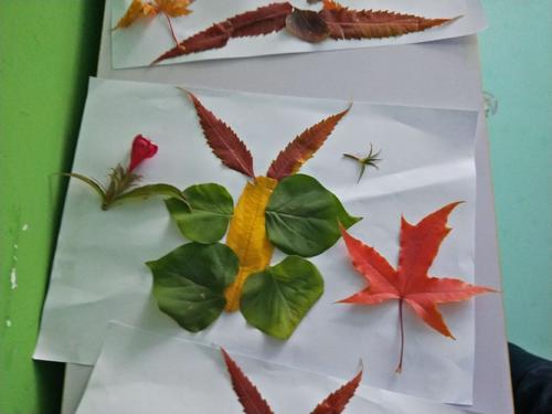 我爱你秋天_200字