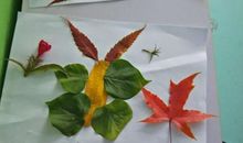 秋天我爱你_200字