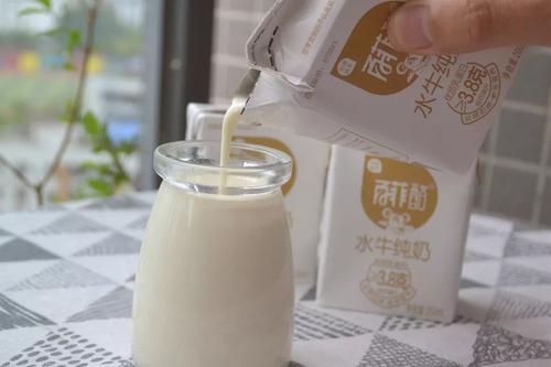 淡奶清香，母女情深_500字