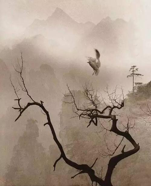 诗中的生活