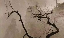 诗中自有人生味