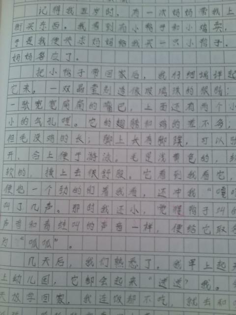 我的日记_150字