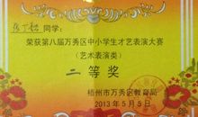 晒收获——钢琴比赛感想_200字