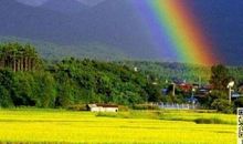 有意义的夏天_700字