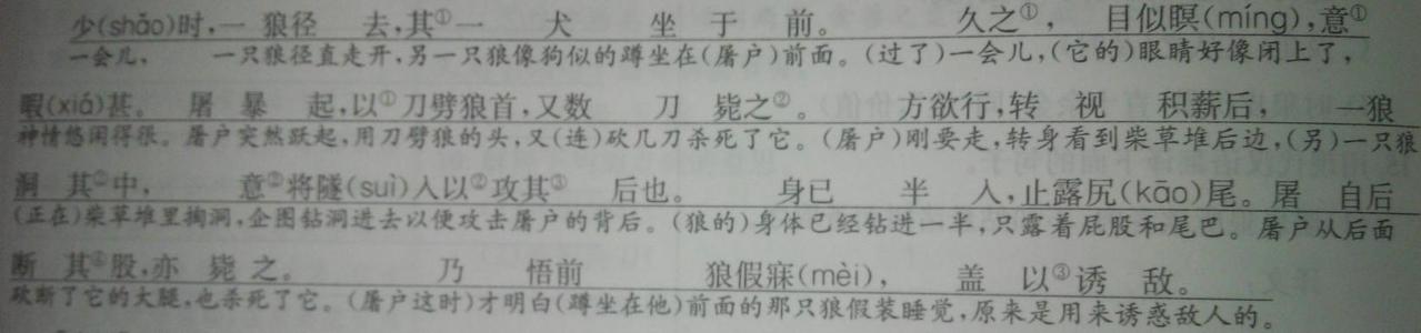 狼（白话）_650字