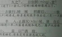 狼（白话文）_650字