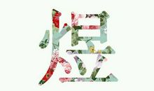 属于我们正确的方向_300字