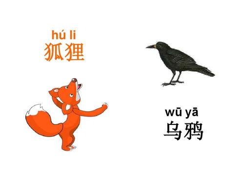 狐狸和crow_600个单词