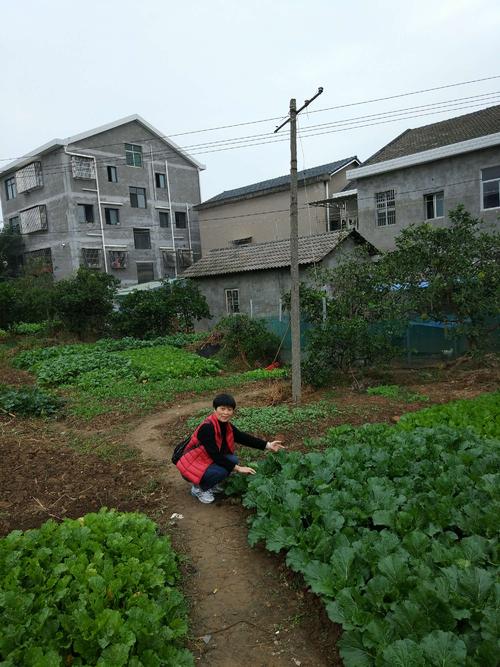 我们的菜园