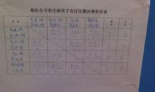 我学会了羽毛球_450字