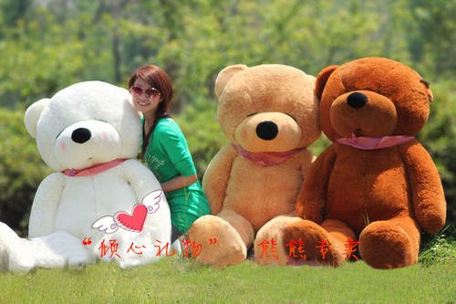 我的Pocket Bear_500字