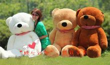 我的袖珍熊_500字