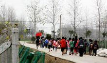 走在放学回家的路上_250字