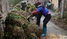 我收到的一份厚礼