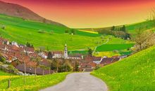 风中的阳光和雨露_1000字