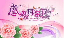 关于母亲节的作文：母亲的节日_650字