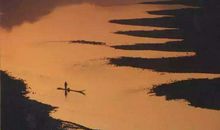 《重返地球》观后感_550字