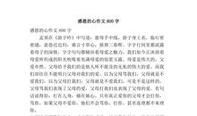 关于新年的作文：新年记趣_700字