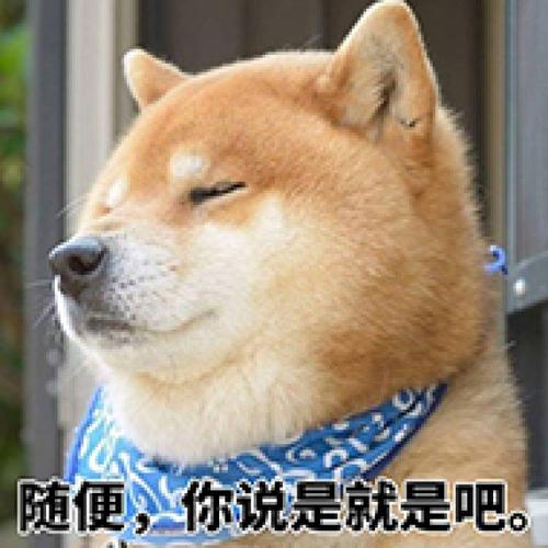我发现狗可以治疗自己_700个单词